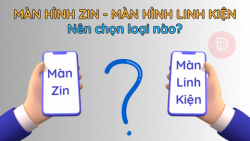 Màn Zin - Màn Linh Kiện | Nên chọn loại nào?