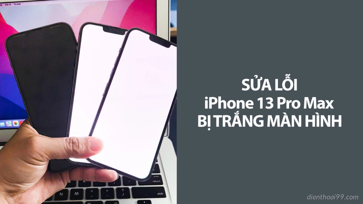 Sửa Lỗi Màn Hình iPhone 13 Pro Max