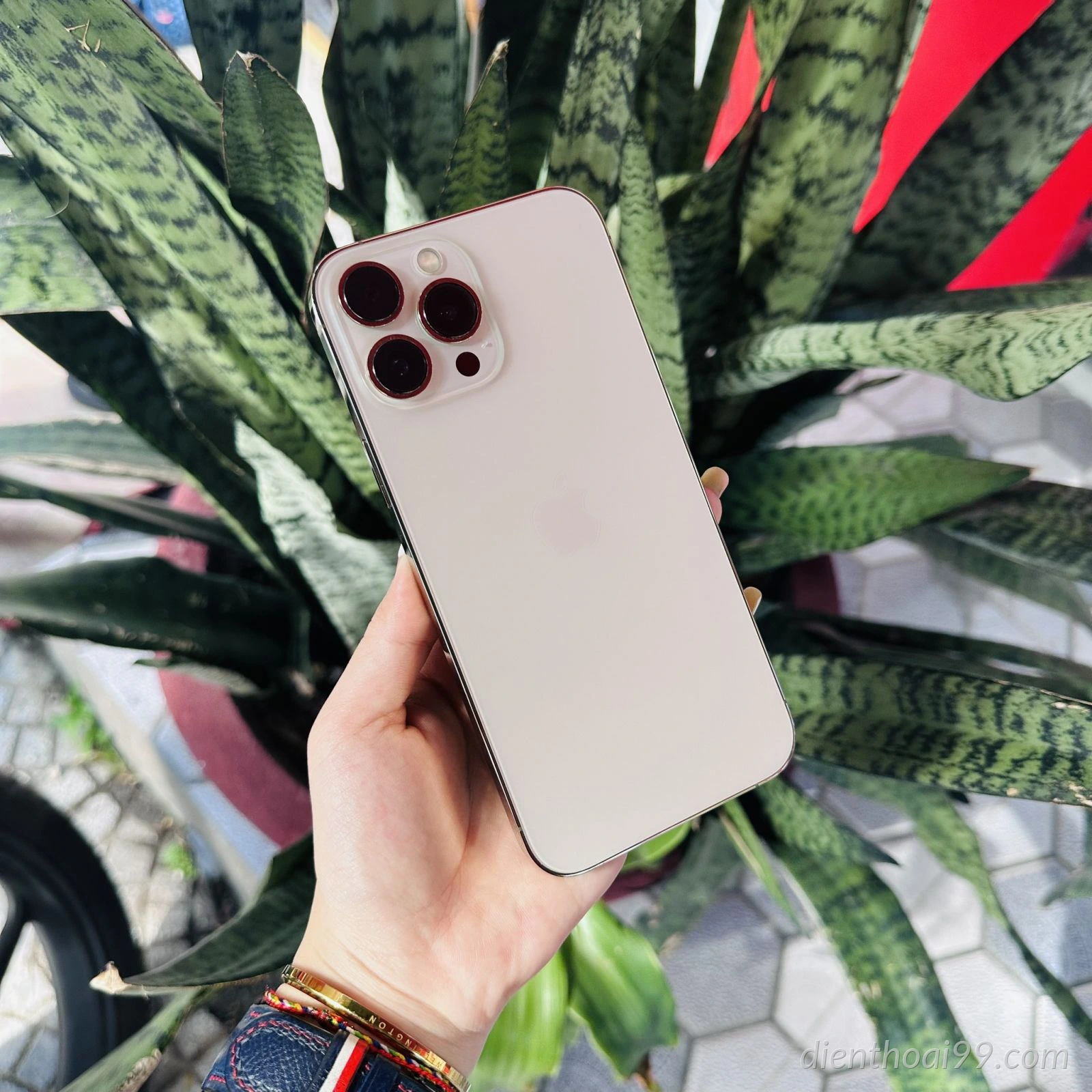 iPhone 13 Pro Max Cũ Đẹp 256GB