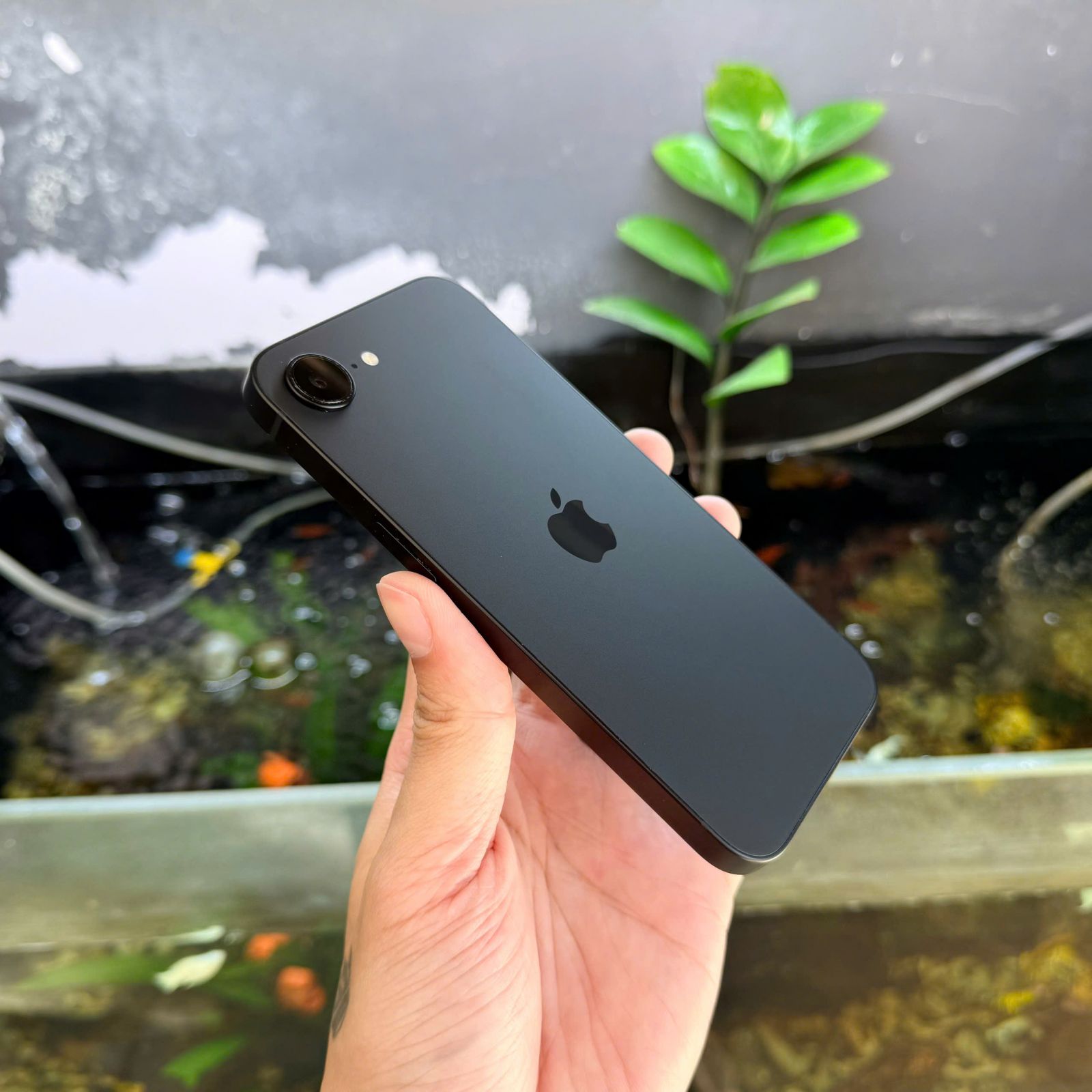 iphone 16e fullbox