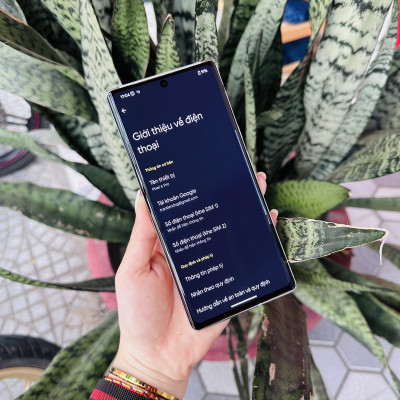 Màn hình Google Pixel 6 Pro tại Đà Nẵng